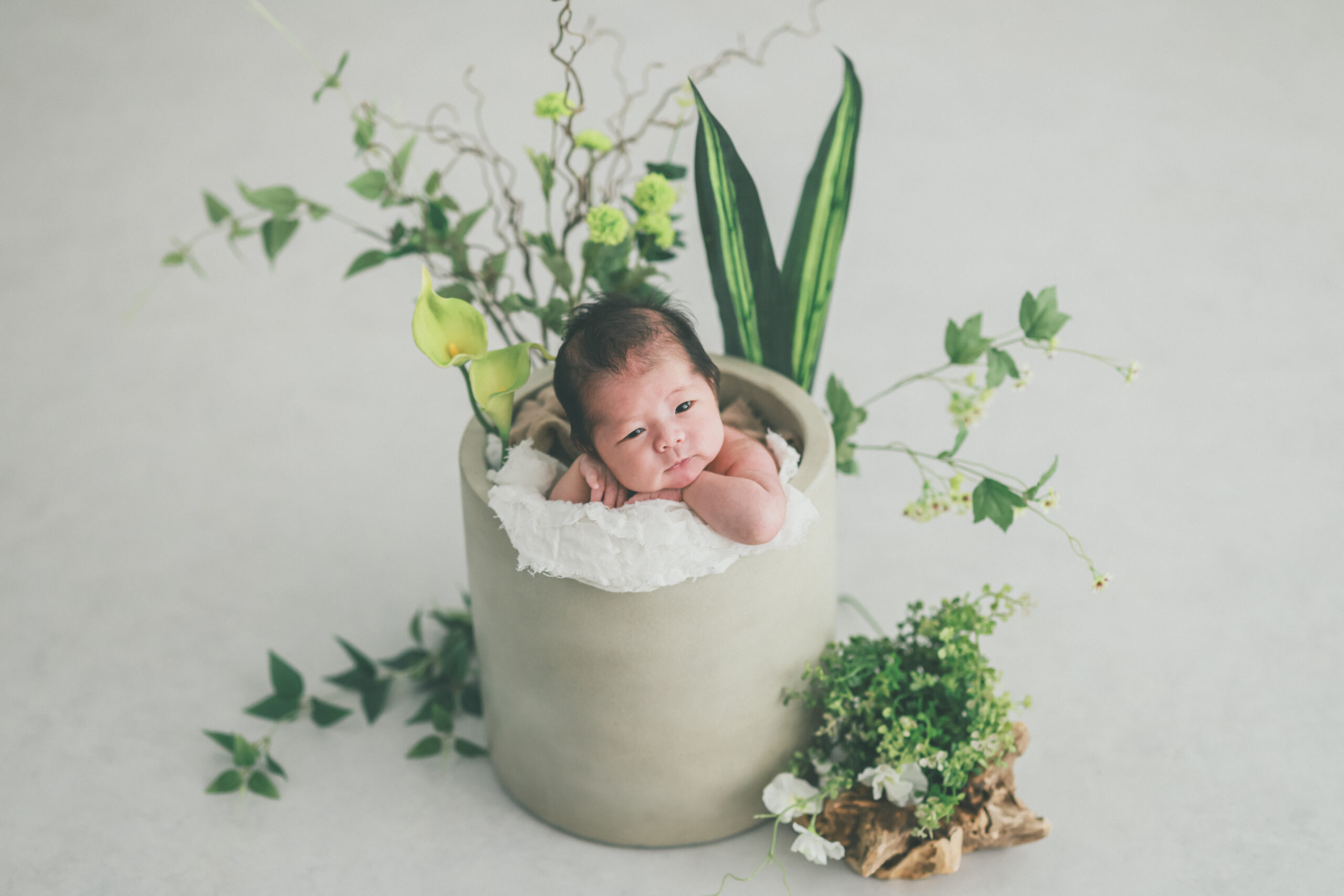 New born