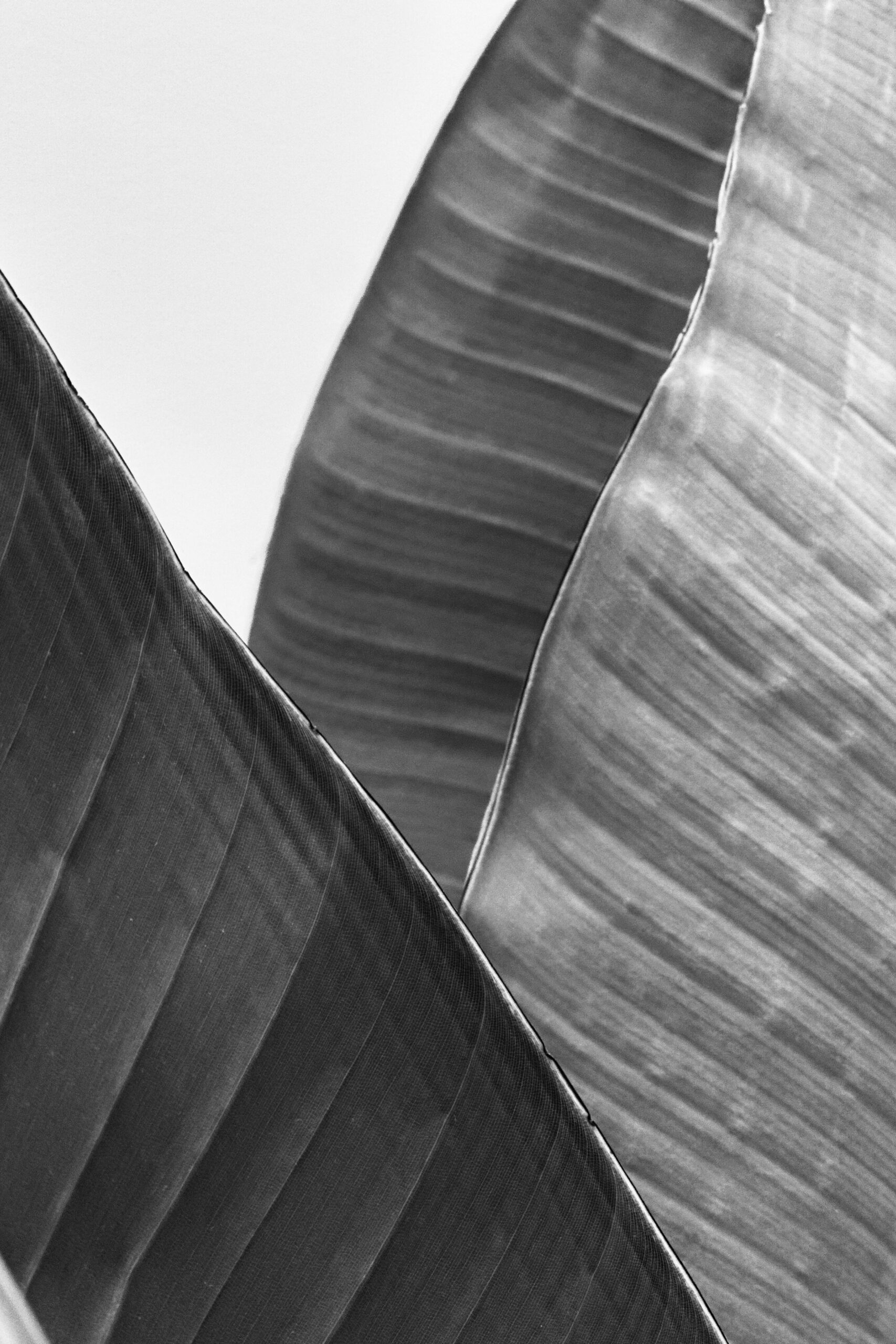 価格改訂のご連絡